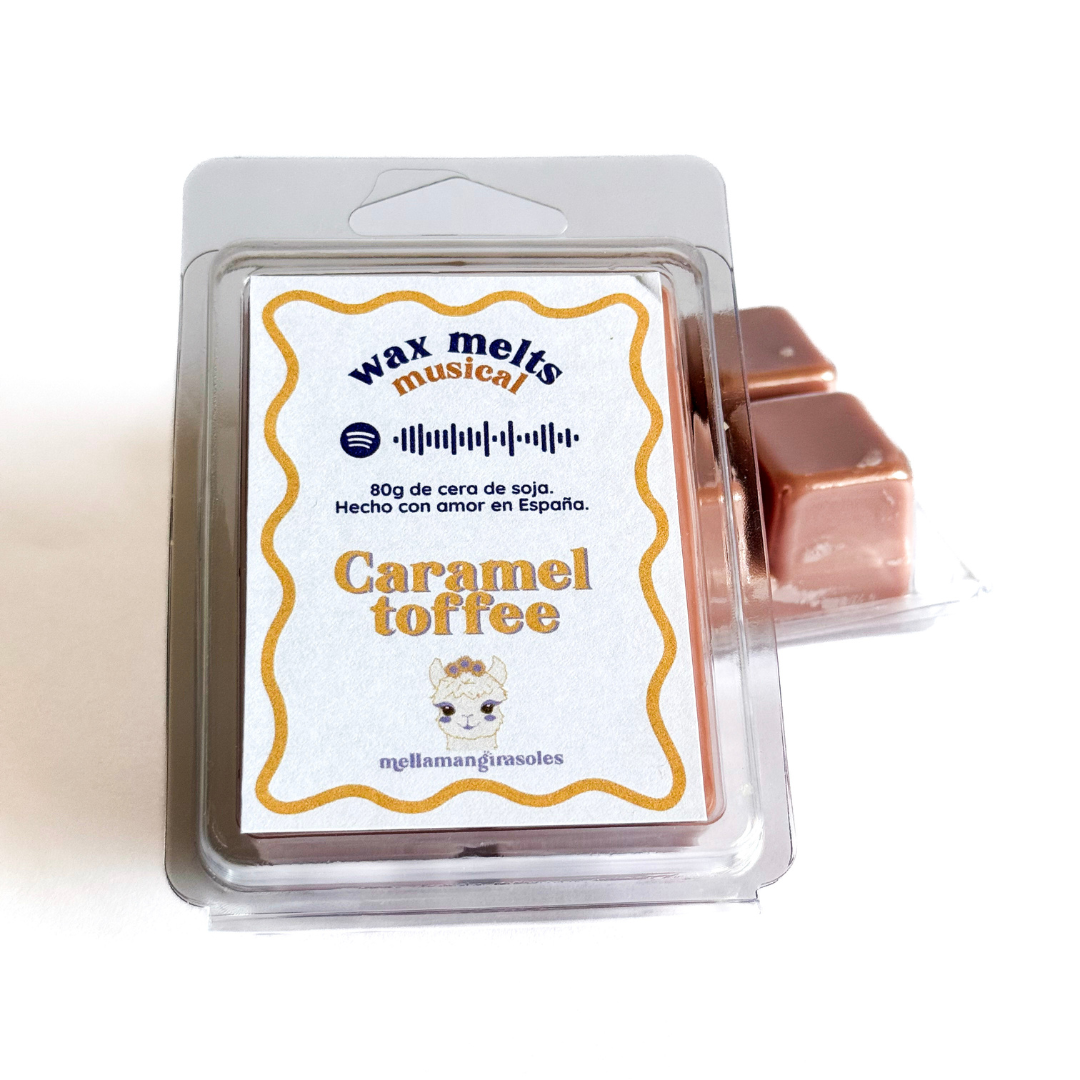 13. Wax melts musicales